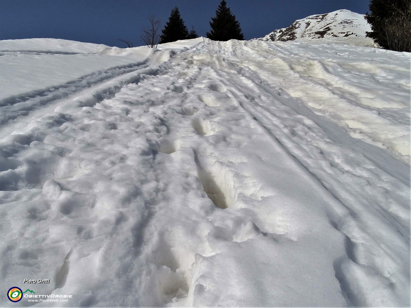 28 Ripido strappo finale della terza scorciatoia.JPG -                                